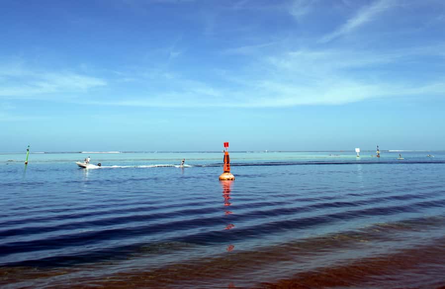 Tahiti: Private Half Day Culture and Nature Highlights Tour - Why this five-hour Tahiti tour works well