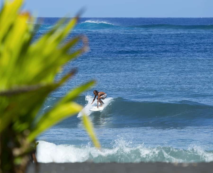 Tahiti: Private Half Day Culture and Nature Highlights Tour - Following Tahiti’s coastal road