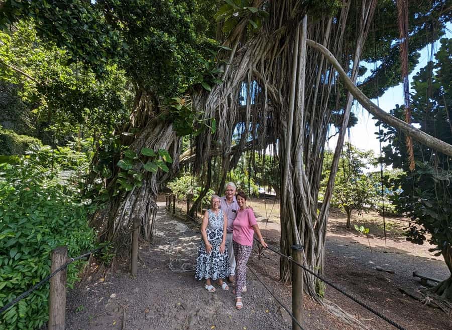 Tahiti Private Half Day Tour. Nature, history and culture - Faaruma’i Waterfalls: the day’s most dramatic natural stop