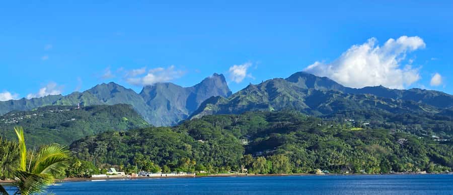 Tahiti Private Half Day Tour. Nature, history and culture - Ārahurahu Marae: start with Tahiti’s living culture