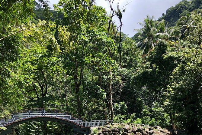 Tahiti: Tour of the East or West Coast (Half Day) - West Coast: Punaauia Beach and Taharuu Beach