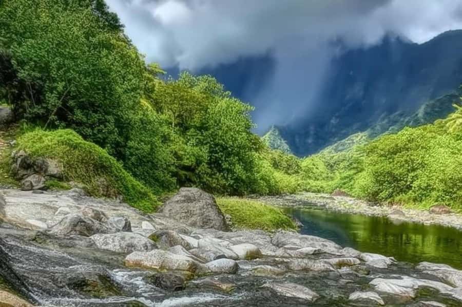 Tahiti: Unique East Coast Half Day Tour with Local Guide - What the Mercedes minivan adds