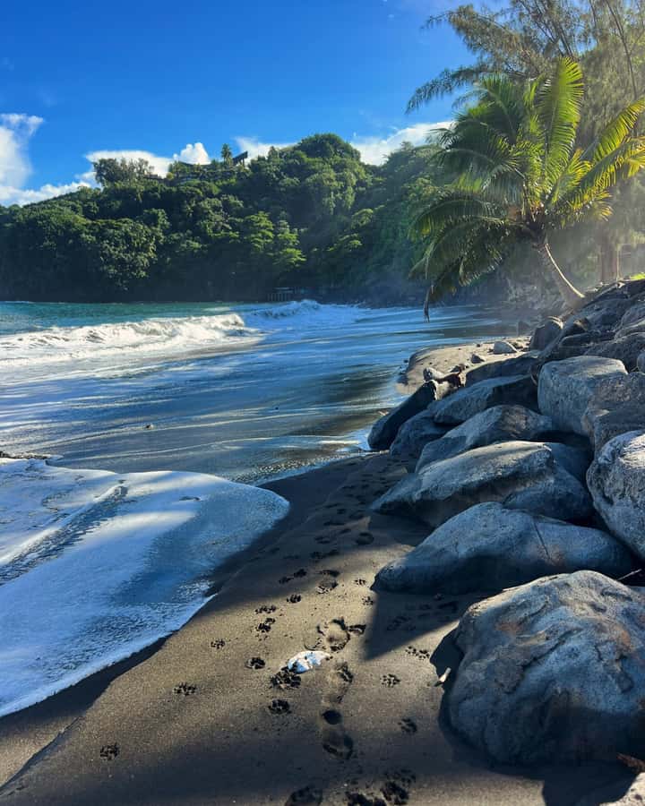 Tahiti: Unique East Coast Half Day Tour with Local Guide - Why Tahiti’s east coast makes a better half-day outing