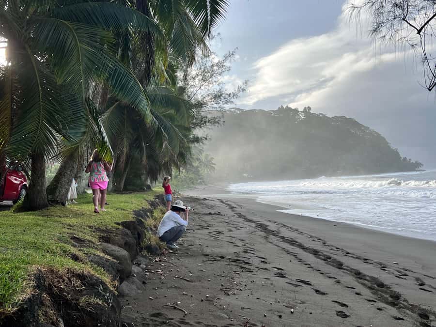 Tahiti: Unique East Coast Half Day Tour with Local Guide - Waterfalls in the Tiare Valley