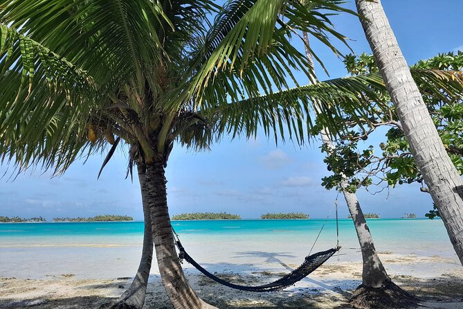 The Blue Lagoon by private boat - 10:30 a.m. shark snorkeling and the pink sand stop