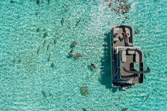 Toa Boat Bora Bora Private Lagoon tour On Ambassador Boat - The Slide Makes the Boat More Than a Transfer