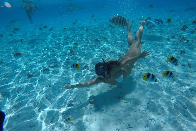 Toa Boat Bora Bora Private Lagoon tour On Ambassador Boat - How the Guides Shape the Experience