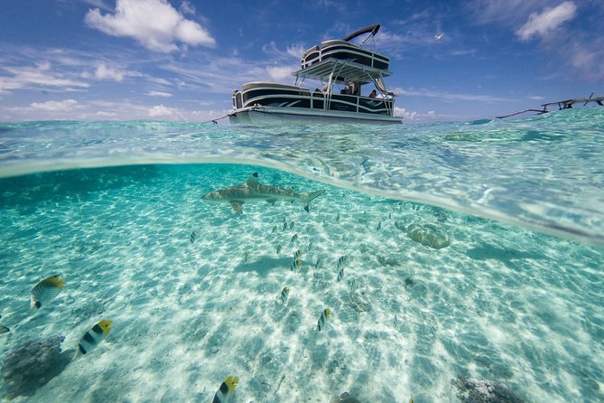 Toa Boat Bora Bora Private Lagoon tour On Ambassador Boat - Is $650 Per Person a Fair Price?