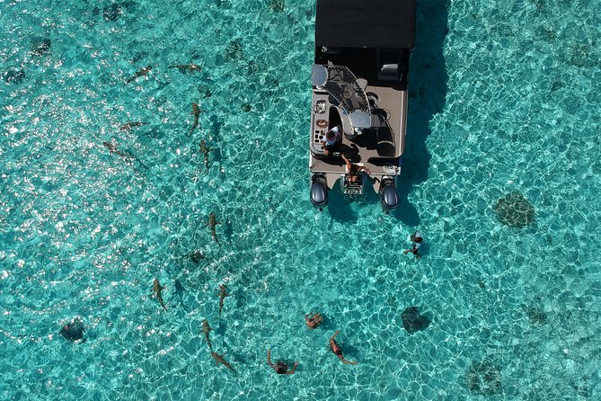 Toa Boat Bora Bora Private Lagoon Tour On Entertainer Bar Boat - Seeing Bora Bora from the water