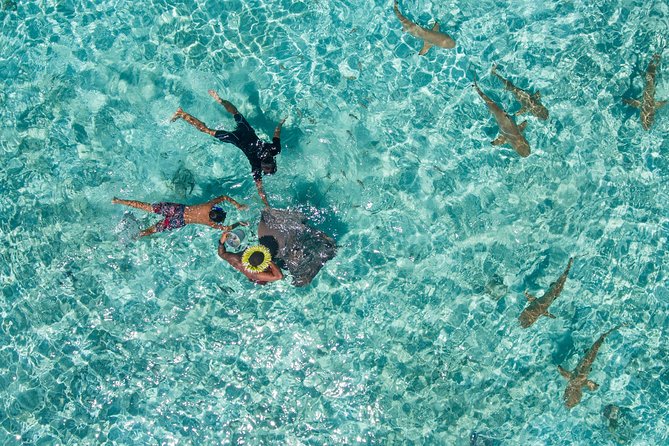 Toa Boat Bora Bora Private Lagoon tour On Majestic Pontoon Boat - A floating lounge for swimmers and non-swimmers