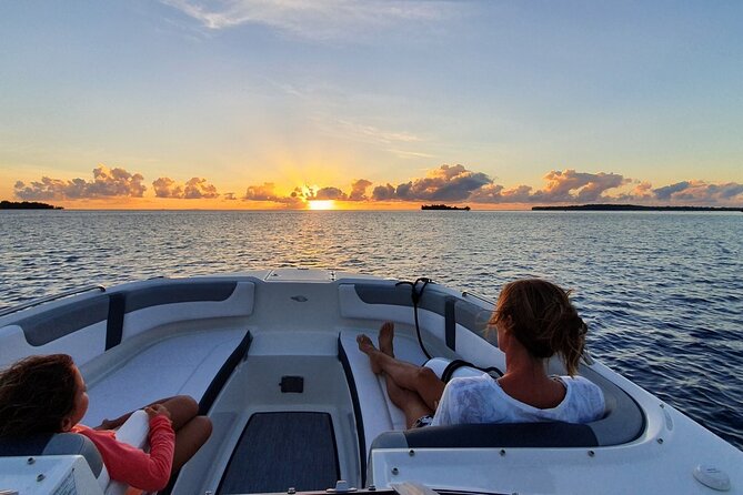 Tohora Bora Bora Snorkeling Lagoon Tours - Blacktip sharks, dolphins, and the open sea