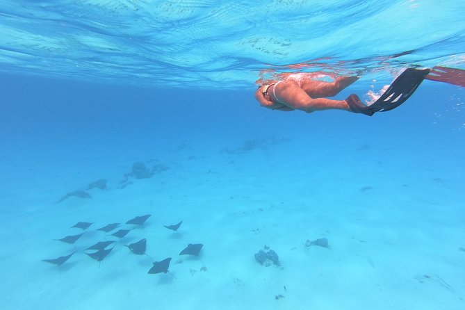 Tohora Bora Bora Snorkeling Lagoon Tours - Group size, boat time, and comfort
