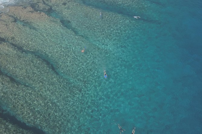 Tohora Bora Bora Snorkeling Lagoon Tours - Weather and visibility can change everything