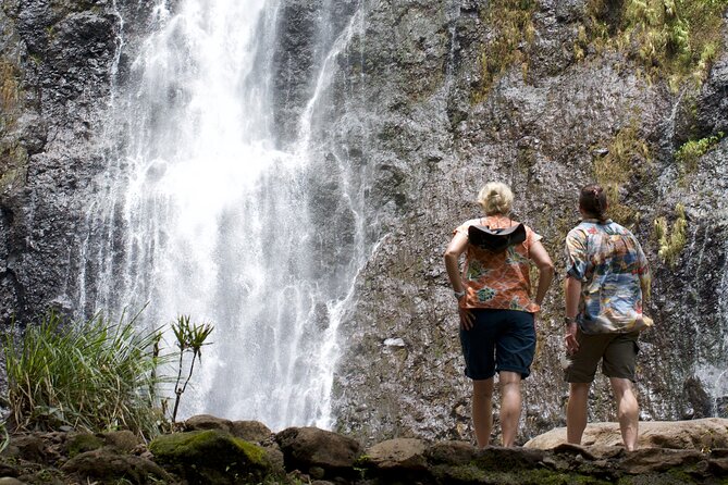 Tour Tahiti in Private - Vaipahi Water Gardens: tropical plants and a waterfall