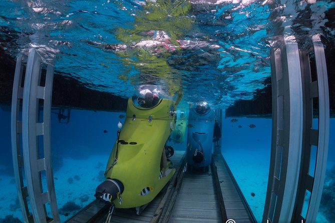 Underwater Scooter - Marine life without a mask or regulator