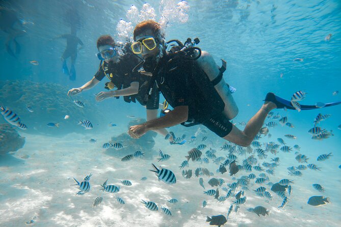 Underwater Scooter - Is $493 a fair price?