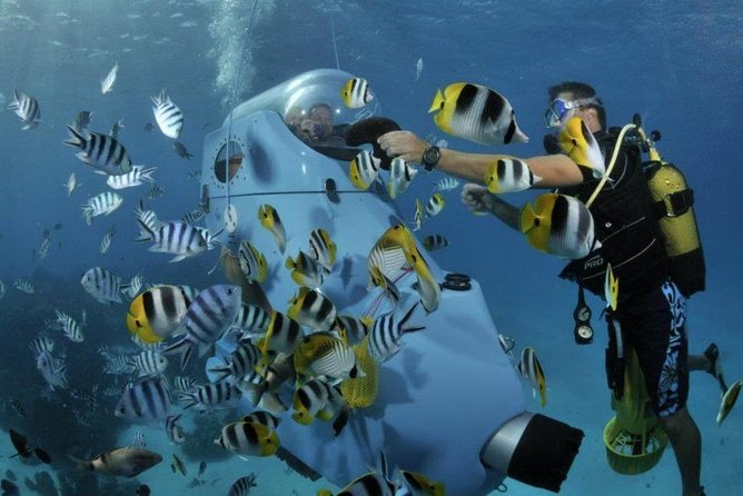Underwater Scooter - Who should book this experience?