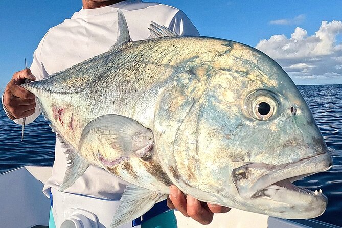 Unique in Raiatea: discover the lagoon, fish, cook, enjoy! - What makes the private format worth considering