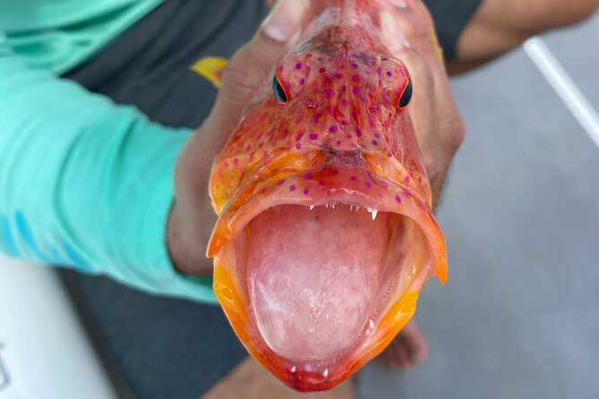 Unique in Raiatea: discover the lagoon, fish, cook, enjoy! - How to prepare for the seven-hour outing