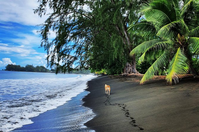 Unique Tahiti Tour - personalised, small group east coast tour - Belvedere du Tahara’a and the view toward Moorea