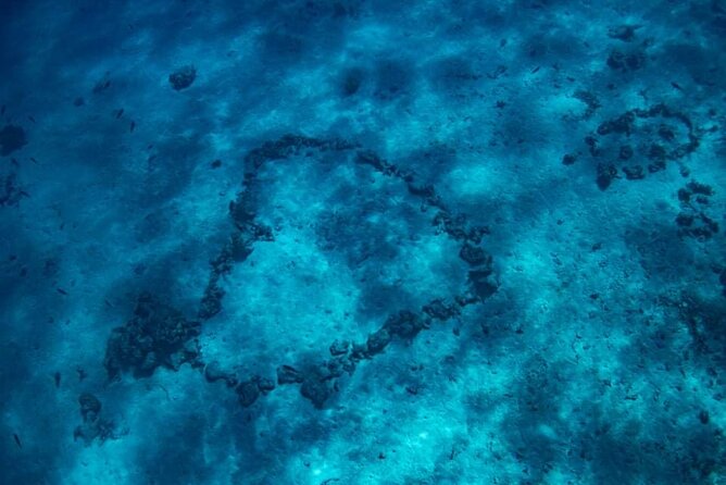 Want to escape? Treat yourself to a snorkeling session in Tahiti! - Sapinus and the sea turtles