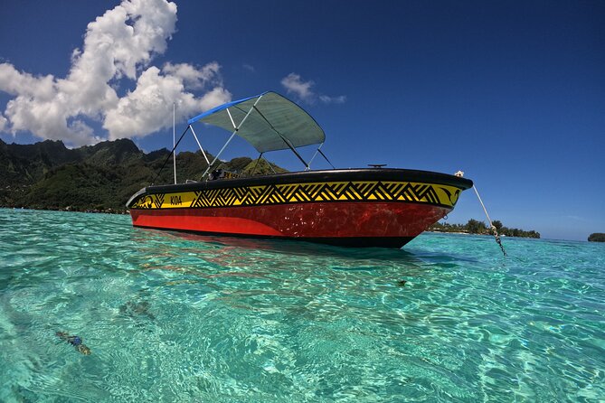 Watch and Swim with Humpback Whales in Moorea - A respectful wildlife experience, not a close-contact stunt