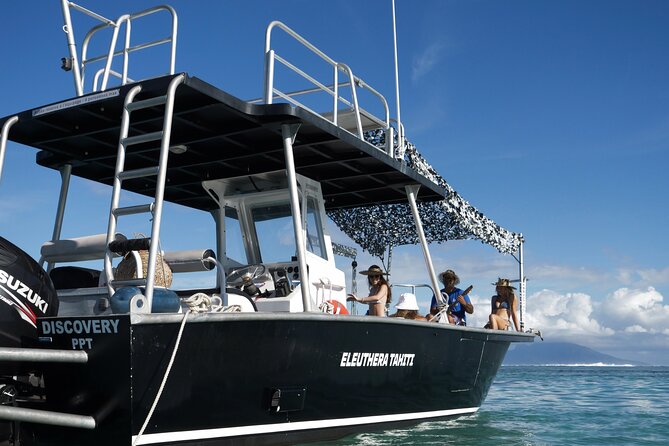 Whale Watching Activity - The boat ride and search for humpbacks