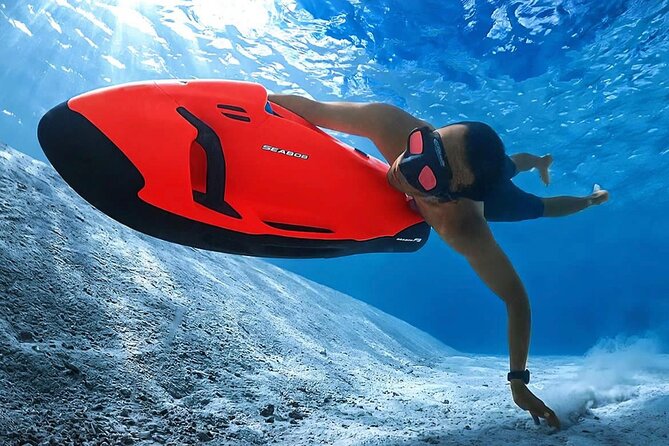 Whale Watching Bora Bora - What getting in the water actually involves