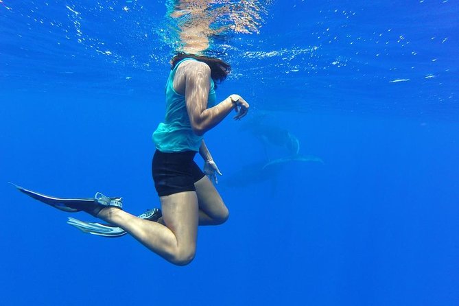 Whale Watching Bora Bora - Equipment, snacks, and the small-group setup