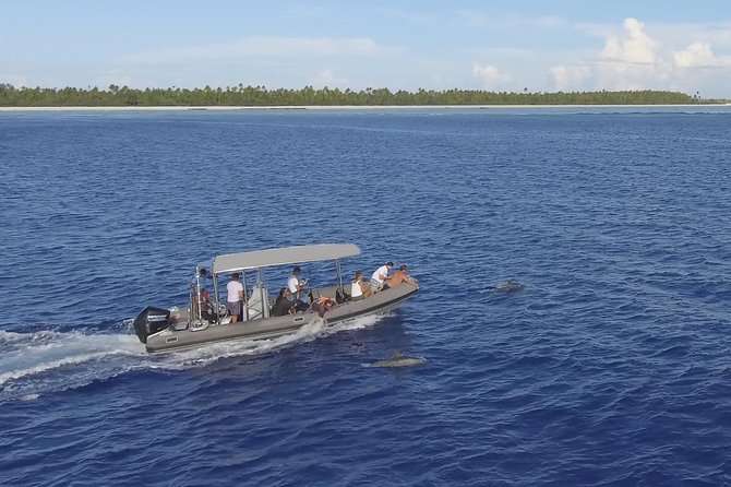 Whale Watching Bora Bora - The crew can make a slow day better