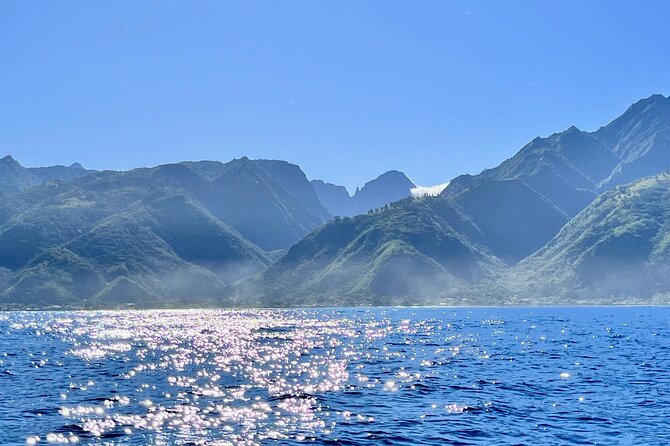 Whale watching DE Humpback West Coast of Tahiti - What whale watching can really look like