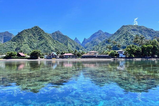 Whale watching DE Tahiti Peninsula - Key points to know before booking