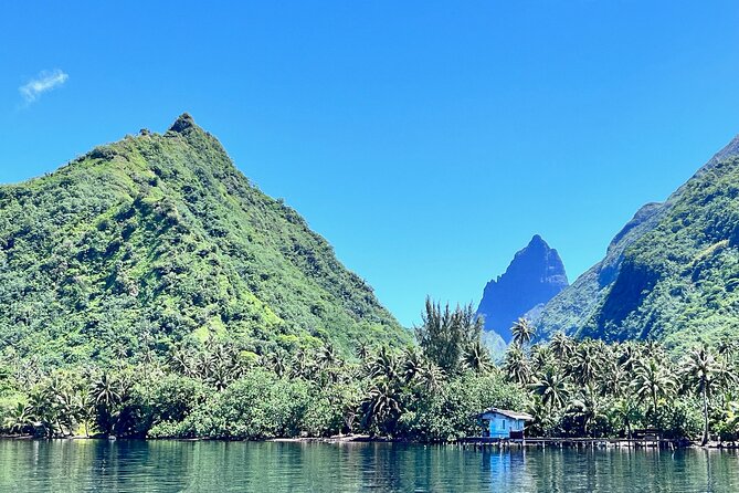Whale watching DE Tahiti Peninsula - Why Tahiti’s whale season matters