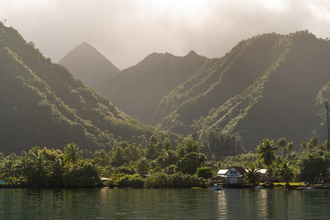 Whale watching DE Tahiti Peninsula - Who will enjoy this trip most