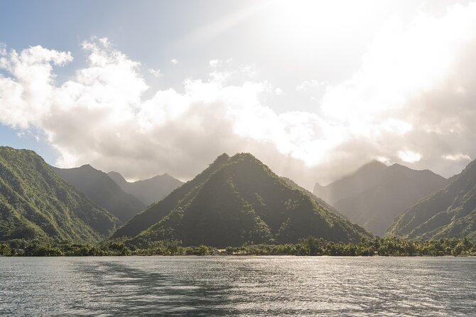Whale watching DE Tahiti Peninsula - Weather, cancellations, and timing