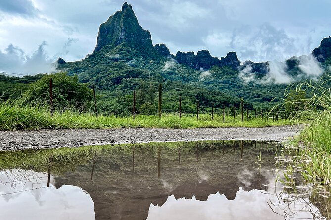 Whale watching in Moorea - What the $194.34 price buys you