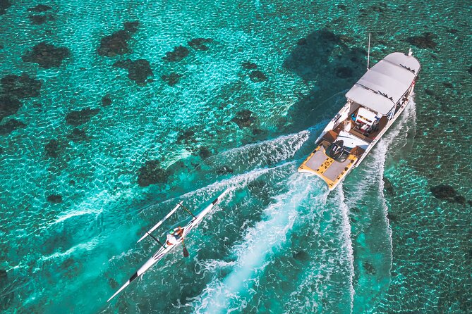 Whale Watching Shared Half Day - The Four-Hour Pace on Moorea