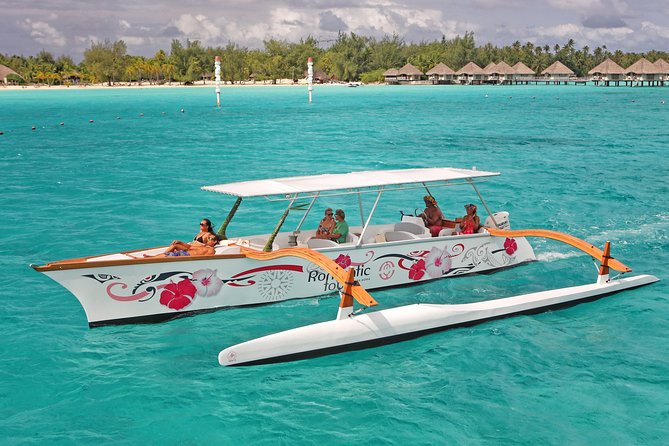 Whale Watching Tours in Bora Bora - The swimming option is for capable ocean swimmers