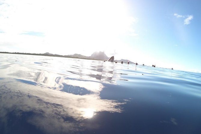 Whale Watching Tours in Bora Bora - Leaving the lagoon for the open ocean