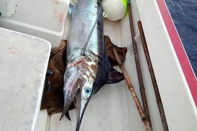 Wholesale Fishing in Poti Marara at Tahiti Teahupoo Peninsula - Weather, cancellation, and timing details